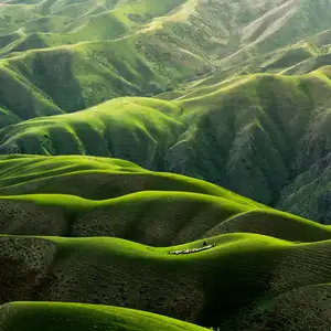 Earth