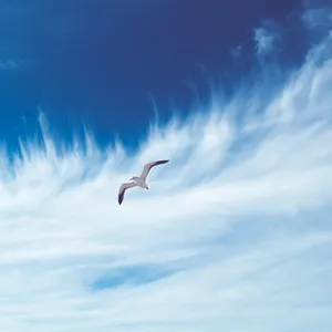 Air